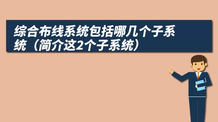 综合布线系统包括哪几个子系统（简介这2个子系统）