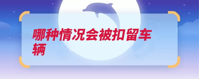 哪种情况会被扣留车辆（购买号牌涉水自己）