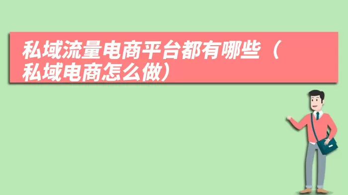 私域流量电商平台都有哪些（私域电商怎么做）