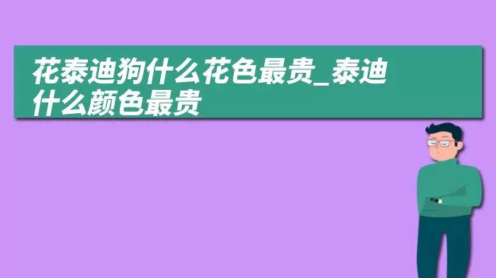 花泰迪狗什么花色最贵_泰迪什么颜色最贵