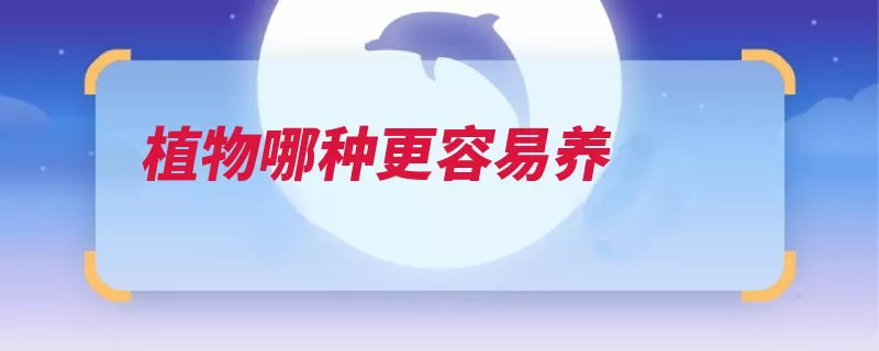 植物哪种更容易养（吊兰红薯水培就可）