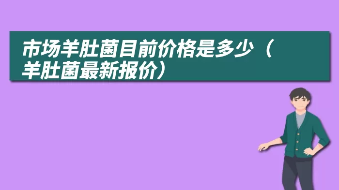 市场羊肚菌目前价格是多少（羊肚菌最新报价）