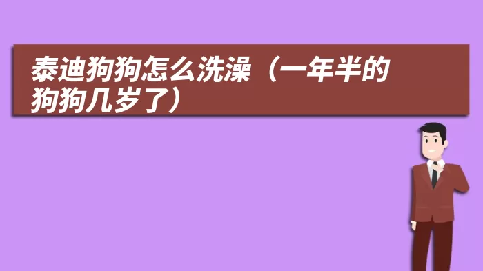 泰迪狗狗怎么洗澡（一年半的狗狗几岁了）