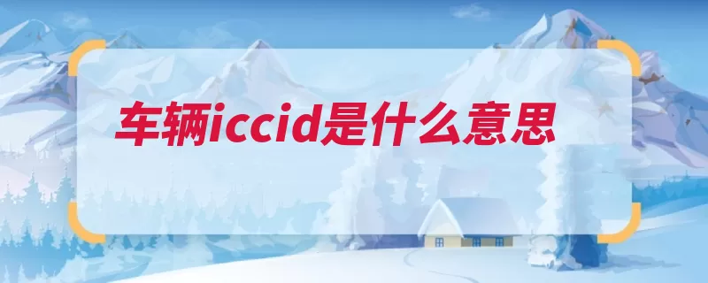 车辆iccid是什么意思（代码识别码这组识）