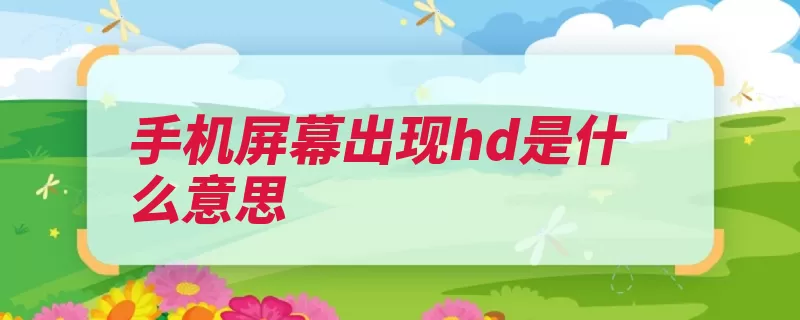 手机屏幕出现hd是什么意思（语音通话网络承载）