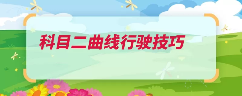 科目二曲线行驶技巧（转弯行驶弯道合时）