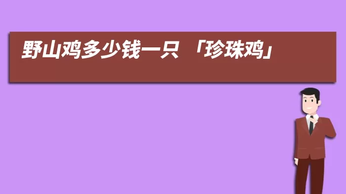 野山鸡多少钱一只 「珍珠鸡」