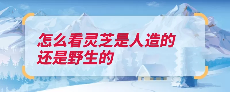 怎么看灵芝是人造的还是野生的（灵芝生长期上看养）