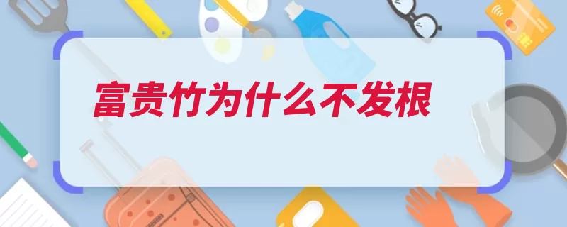 富贵竹为什么不发根（换水基部加水枯黄）