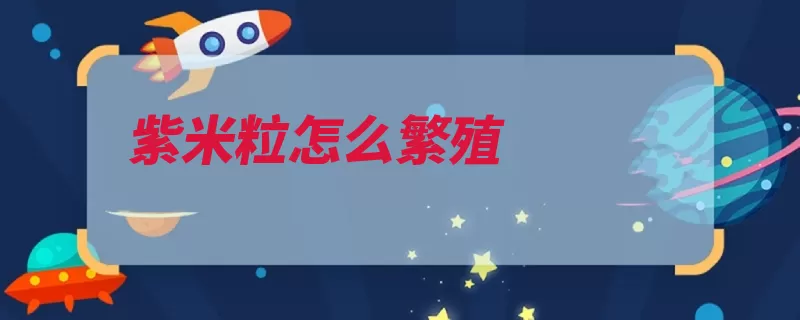紫米粒怎么繁殖（紫米浇水徒长繁殖）