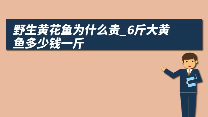 野生黄花鱼为什么贵_6斤大黄鱼多少钱一斤