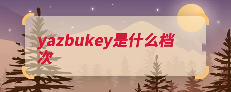 yazbukey是什么档次（都在创意还不错价）