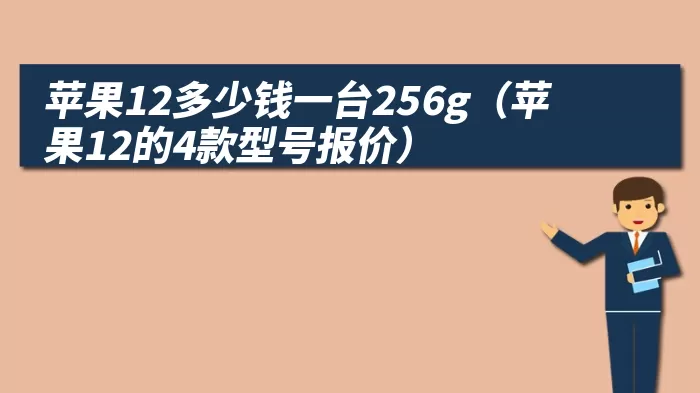 苹果12多少钱一台256g（苹果12的4款型号报价）