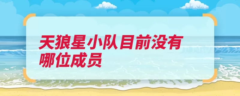 天狼星小队目前没有哪位成员（荣耀王者游戏对战）