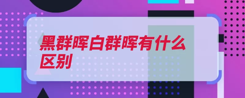 黑群晖白群晖有什么区别（官方第三方搭载隐）