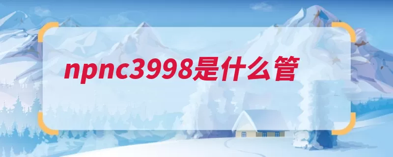 npnc3998是什么管（流行多为耳听为虚）