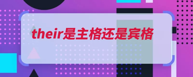their是主格还是宾格（物主代词主格词性）