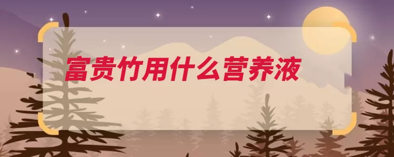 富贵竹用什么营养液（营养液富贵竹栽培）