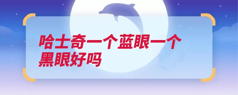 哈士奇一个蓝眼一个黑眼好吗（西伯利亚哈士奇拉）