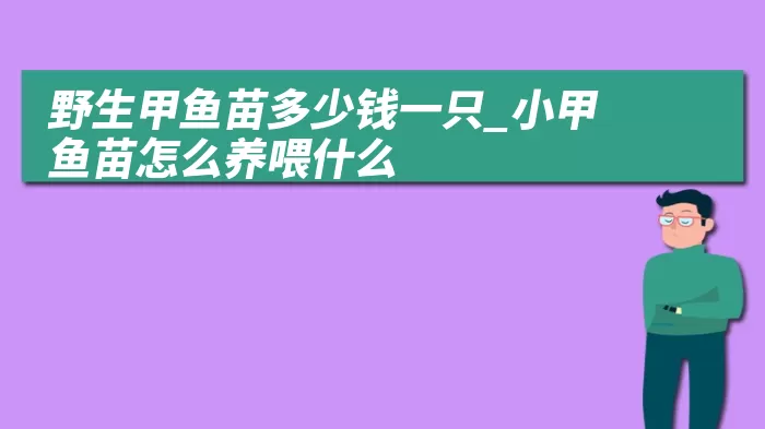 野生甲鱼苗多少钱一只_小甲鱼苗怎么养喂什么