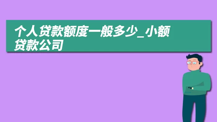 个人贷款额度一般多少_小额贷款公司