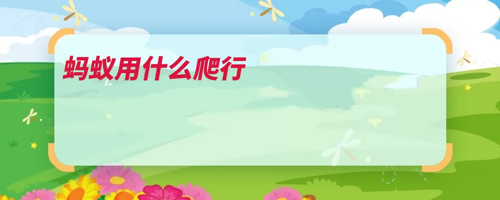 蚂蚁用什么爬行（蚂蚁棕黄昆虫体长）