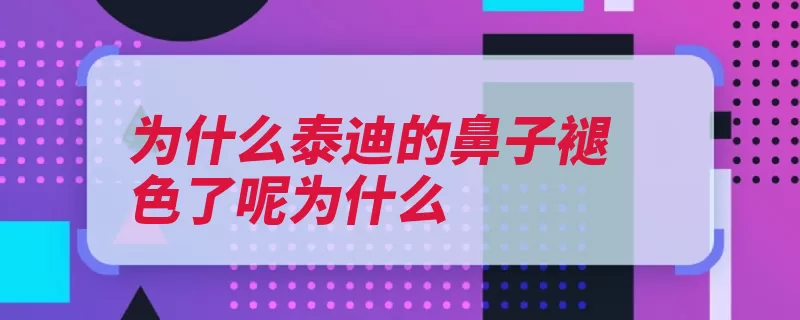 为什么泰迪的鼻子褪色了呢为什么（狗狗鼻子褪色也会）