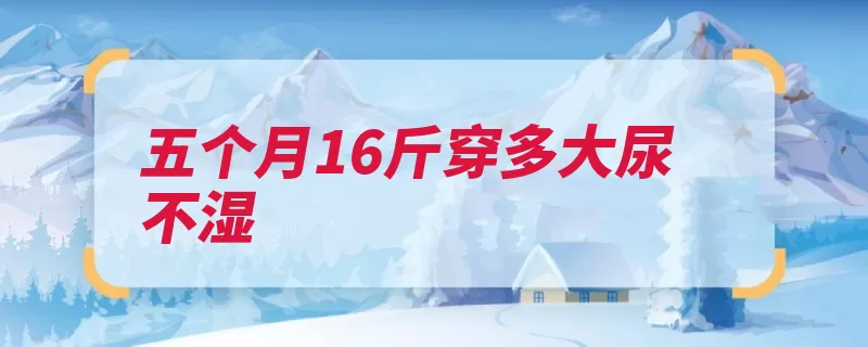 五个月16斤穿多大尿不湿（尿不湿吸水性婴儿）