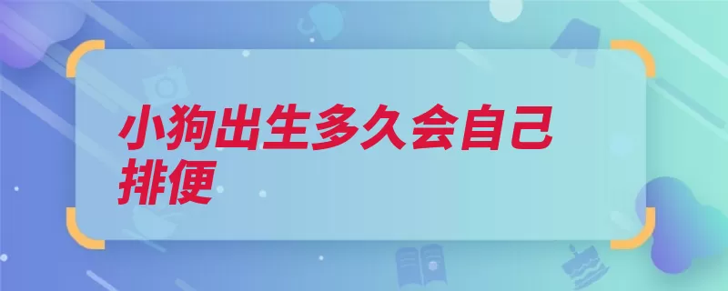 小狗出生多久会自己排便（狗狗排便放在小狗）