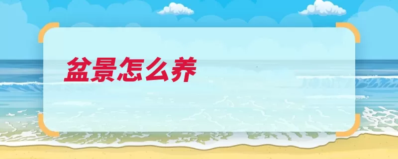 盆景怎么养