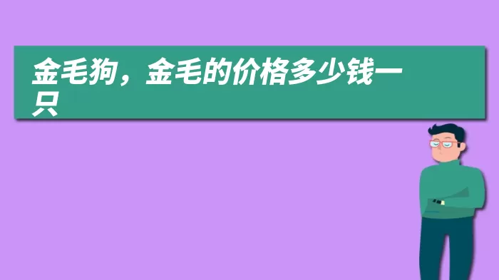 金毛狗，金毛的价格多少钱一只