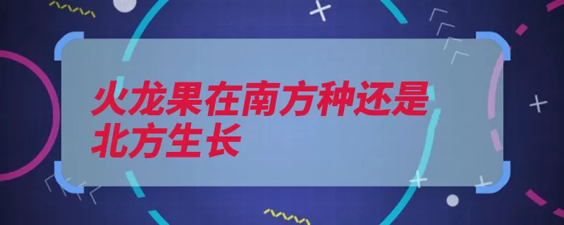 火龙果在南方种还是北方生长（生长危地马拉中美）