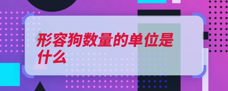 形容狗数量的单位是什么