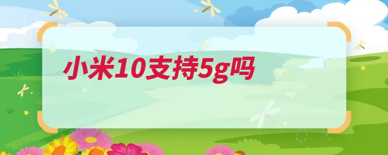 小米10支持5g吗