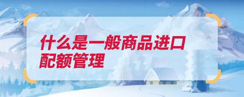 什么是一般商品进口配额管理