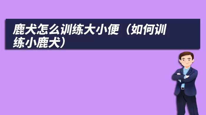 鹿犬怎么训练大小便（如何训练小鹿犬）