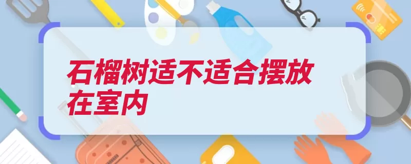 石榴树适不适合摆放在室内（石榴放在裂片种皮）