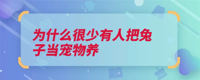 为什么很少有人把兔子当宠物养（兔子主人很难小猫）