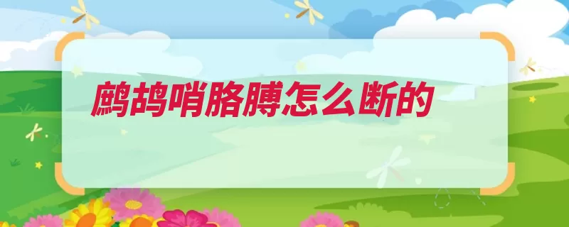 鹧鸪哨胳膊怎么断的（鹧鸪姑娘山道死去）