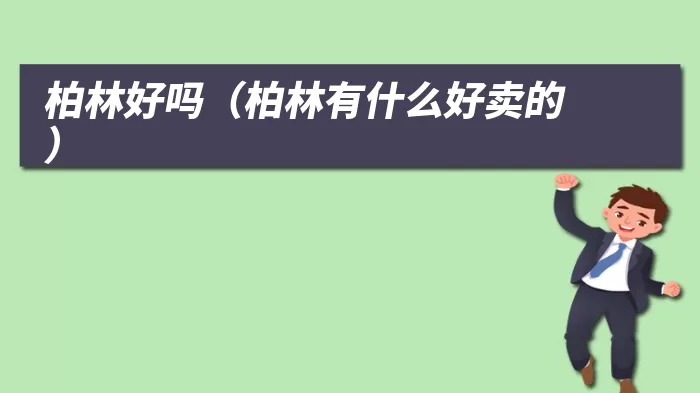 柏林好吗(柏林有什么好卖的)