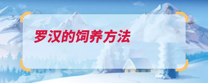 罗汉的饲养方法