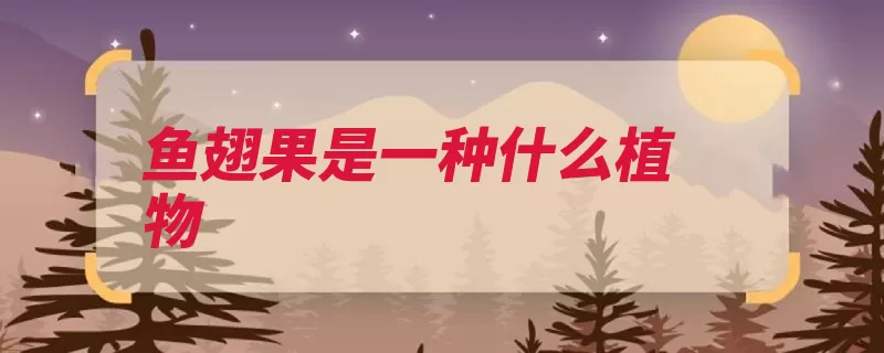 鱼翅果是一种什么植物（凉粉薜荔鱼翅幼株）
