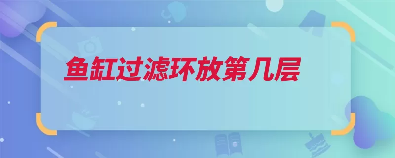 鱼缸过滤环放第几层（不需要过滤硝化细）