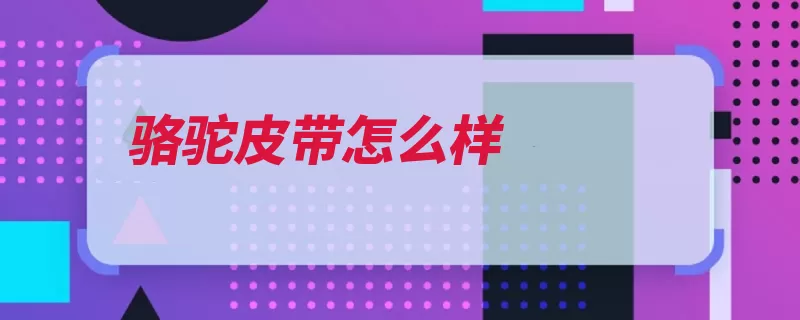 骆驼皮带怎么样（皮具骆驼又不商务）