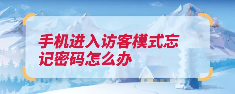 手机进入访客模式忘记密码怎么办
