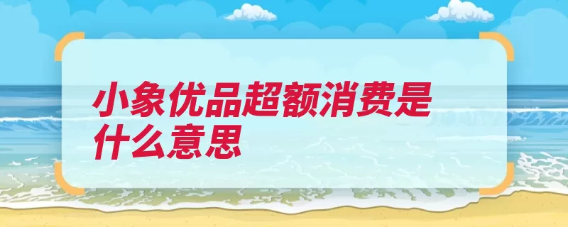 小象优品超额消费是什么意思