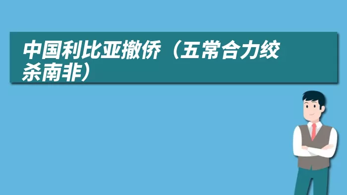 中国利比亚撤侨（五常合力绞杀南非）