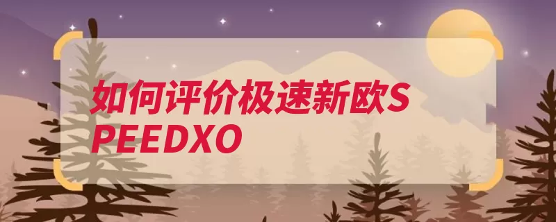 如何评价极速新欧SPEEDXO