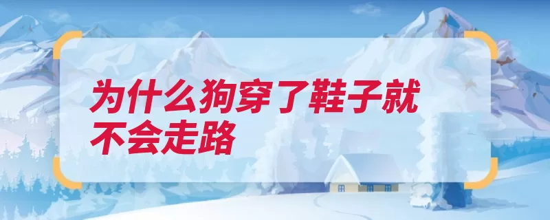 为什么狗穿了鞋子就不会走路（指甲穿上爪子越长）