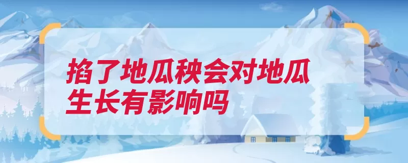 掐了地瓜秧会对地瓜生长有影响吗（地瓜红薯生长会对）